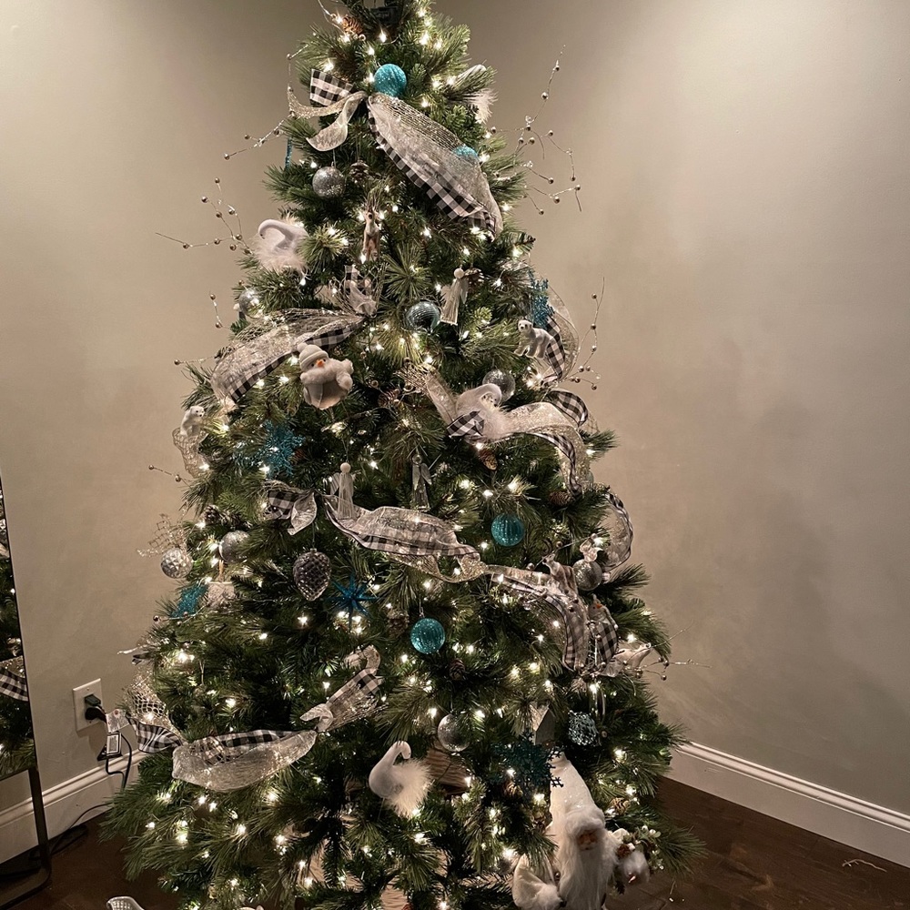 Meet your Posher, Maria